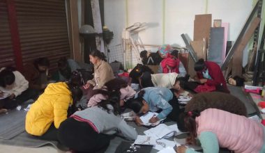 महिलालाई सीप सिकाउँदै स्थानीय तह