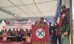 अवसरको उपयोग गर्न उपप्रधानमन्त्री सिंहको जोड