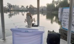 बितेका २४ घन्टा