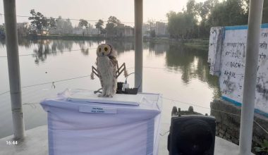 बितेका २४ घन्टा