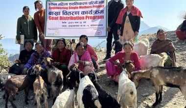 एकल चेपाङ महिलालाई बाख्रा वितरण