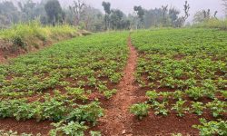 नेपाल पर्यटन बोर्डले गर्याे साइड इभेन्टको आयोजना