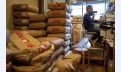 जापानले मूल्य वृद्धिका कारण आपत्कालीन चामल भण्डार जारी गर्ने