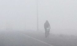 तराईमा बिहानैदेखि लागेको हुस्सु हट्दै