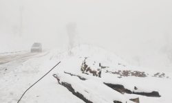 हिमपातका कारण मध्यपहाडी लोकमार्ग अवरुद्ध