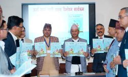 ‘सत्र हजार मेगावाट विद्युत् निर्यात गर्नेगरी भारतसँग सहमति’