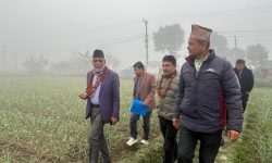 कृषि बालीमा धेरै विषादी प्रयोग नगर्न कृषिमन्त्रीको आग्रह
