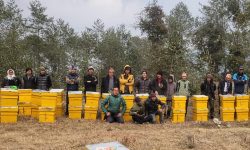 खार्मीका ३६ कृषकलाई आधुनिक मौरीका घार