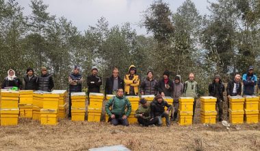 खार्मीका ३६ कृषकलाई आधुनिक मौरीका घार