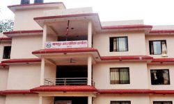 झाडी फाँडेर १४० रोपनीमा ओखरखेती