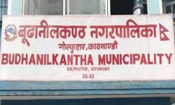 बूढानीलकण्ठ नगरपालिकाद्वारा अदालतविरुद्ध अवहेलना नभएको जवाफ पेश