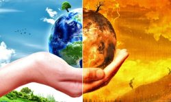 जलवायु परिवर्तनको बढी असर महिलालाई