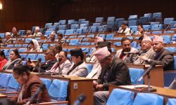 प्रतिनिधिसभा : ‘ग्रे लिस्ट’बारे सरकारको ध्यानाकर्षण