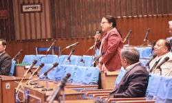 संसदीय व्यवस्थामा गल्ती गर्नेप्रति खबरदारी र आलोचना गरिनु स्वाभाविक हो : सांसद शर्मा