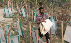 इन्टनेटमा हेरेरै केराको खम्बाबाट कागज उत्पादन