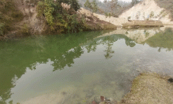 पर्यटन प्रवर्द्धन गर्न ‘ऐनापोखरी महोत्सव’