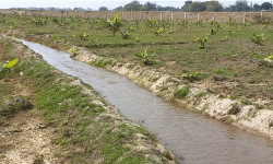 किसानको आयआर्जन बढाउन बगरखेती प्रवर्द्धन