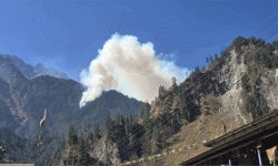 तिमाङको जङ्गलमा लागेको आगो अझै निभाउन सकिएन