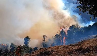 सामुदायिक वनमा लागेको आगो निभाउन कठिन, जोखिममा भेडीगोठ