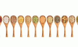 अन्तर्राष्ट्रिय दाल दिवस आज, अरबी चितुवा दिवस पनि आजै