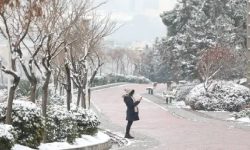 इरानमा चिसो बढेपछि विद्यालय र सरकारी कार्यालय बन्द