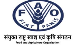 विश्व खाद्य मूल्यमा गिरावट : एफएओ