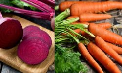 चितवनको गाजर र चुकन्दर जर्मन निर्यात