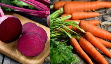 चितवनको गाजर र चुकन्दर जर्मन निर्यात