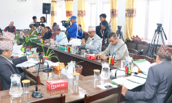 एकीकृत निर्वाचन विधेयक सङ्घीय संसद्मा यथाशीघ्र पेस गर्न सरकारलाई निर्देशन