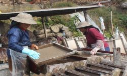 नेपाली हाते कागज उद्योगलाई कच्चा पर्दाथको अभाव