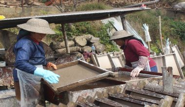 नेपाली हाते कागज उद्योगलाई कच्चा पर्दाथको अभाव