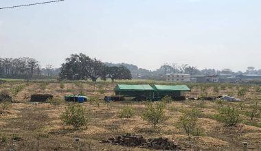 ‘सिभिल इन्जिनियर’ अध्ययन गरेर व्यावसायिक कागतीखेती रमाउँदै प्रतीक