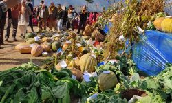 महाशिवरात्रिमा कृषि प्रदर्शनी मेला