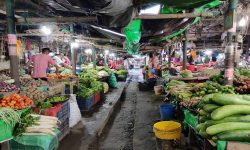 ललितपुरको झम्सीखेलमा किसान बजार सञ्चालनमा