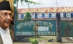 प्रधानमन्त्री ओलीको चार कार्यकाल: चारै पटक हदबन्दीमा हात