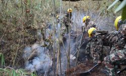 मनाङको डढेलो १० दिनसम्म पनि नियन्त्रण हुन सकेन