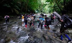 भेनेजुएला फर्कन खोज्ने आप्रवासी पनामामा रोकिए