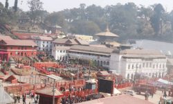 महाशिवरात्रिका अवसरमा पशुपति क्षेत्रमा शोभायात्रा