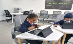 अब पढ्ने होइन त ? ‘रामतुलसी’