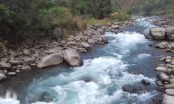 रिग्दी खोलामा असला माछा देखिन छाड्यो