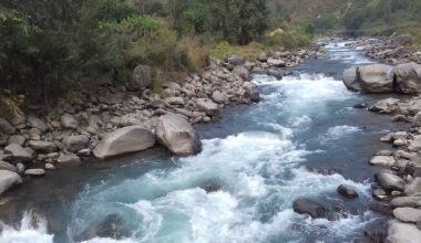 रिग्दी खोलामा असला माछा देखिन छाड्यो