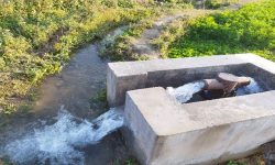 सिँचाइका लागि एक वर्षमा १६ डिप बोरिङ वितरण