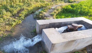 सिँचाइले सुक्खा जमिन हराभरा बन्दै