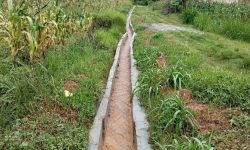 सिक्टा सिँचाइ आयोजनाद्वारा २४ हजार हेक्टर जमिनमा सिँचाइ सुविधा