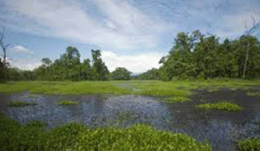 विश्व सिमसार दिवस आज