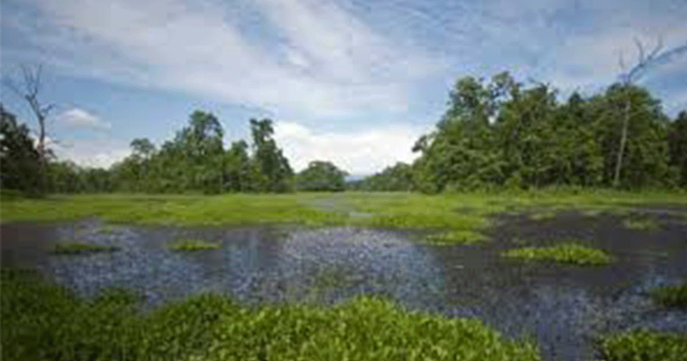 विश्व सिमसार दिवस आज