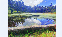 रुद्रतालको संरक्षण गर्दै ढोरपाटन