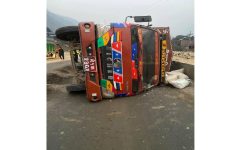 मिनीट्रक दुर्घटना हुँदा १९ वटा चौपाया मरे