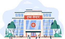 Agreement to cut down 646 trees for building trauma centre