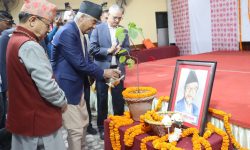 प्रशिक्षणले पार्टीलाई सशक्त बनाउँछ : सभापति देउवा